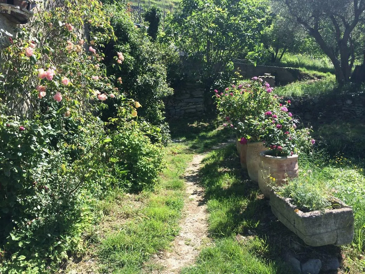 Antica Casa Del Canto Mirella - Private Parking Calice Ligure 0*,